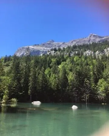 Joli T3 A La Montagne Marignier